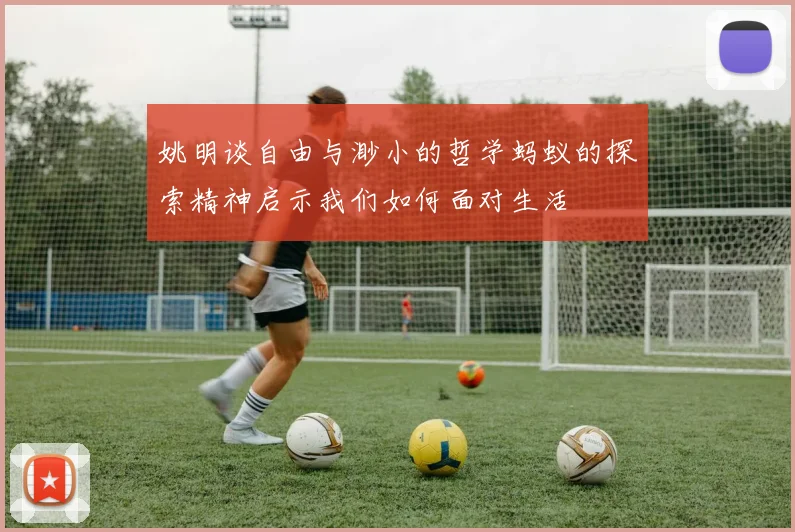 姚明谈自由与渺小的哲学蚂蚁的探索精神启示我们如何面对生活