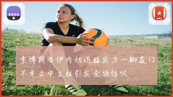 索博斯洛伊内切迅猛发力一脚轰门不幸击中立柱引发全场惊叹